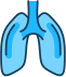 Circled lungs icon highlights area on person silhouette and description of lung-related symptoms